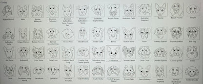 DOG BREEDS 1