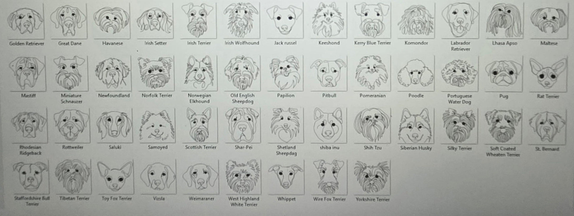 DOG BREEDS 2