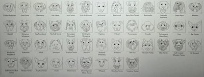 DOG BREEDS 2